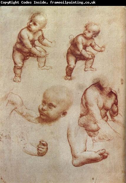 LEONARDO da Vinci Drawing of an Infant